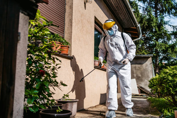 Bird Control in Closter, NJ
