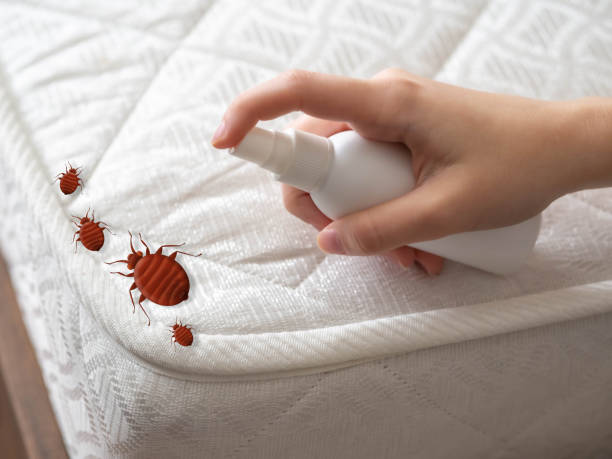 Best Residential Pest Control  in Closter, NJ