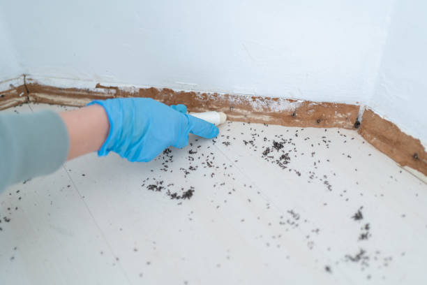 Best Residential Pest Control  in Closter, NJ