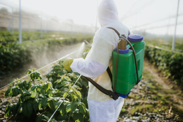 Best Best Pest Control Companies  in Closter, NJ